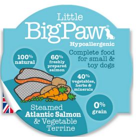 Little Big Paw Salmon And Vegetables